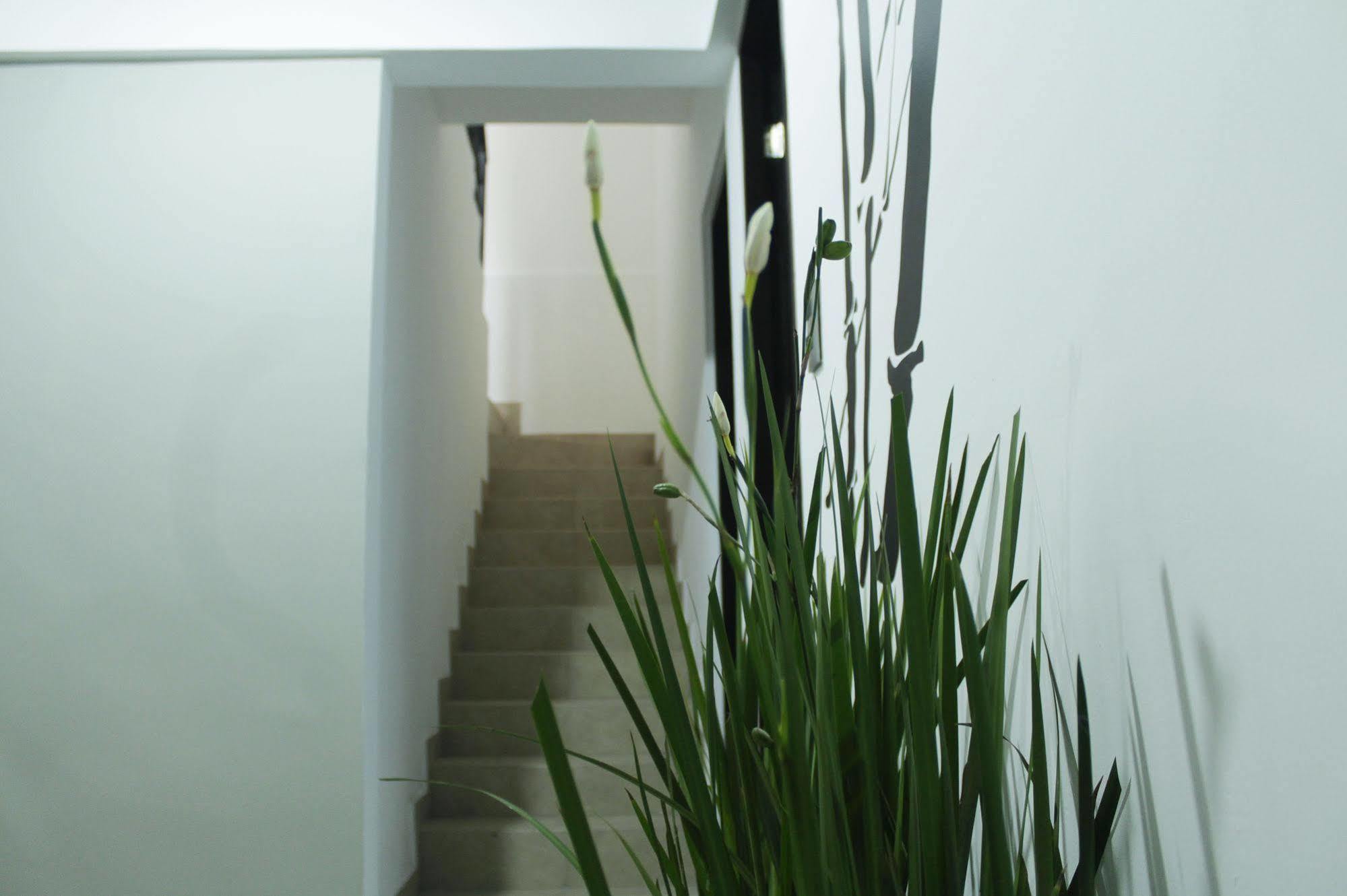 Hostal Be Condesa Mexico City Ngoại thất bức ảnh